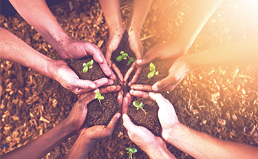 大宝娱乐-LG游戏|PT游戏|CQ9游戏