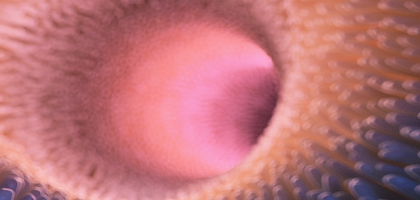 大宝娱乐-LG游戏|PT游戏|CQ9游戏