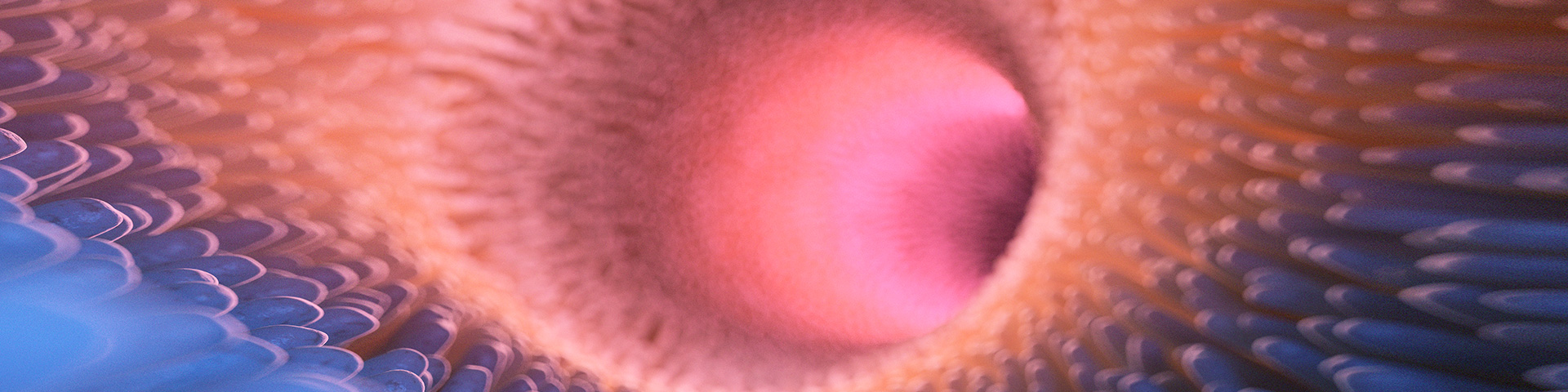 大宝娱乐-LG游戏|PT游戏|CQ9游戏