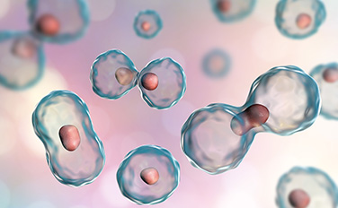 大宝娱乐-LG游戏|PT游戏|CQ9游戏