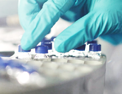 大宝娱乐-LG游戏|PT游戏|CQ9游戏